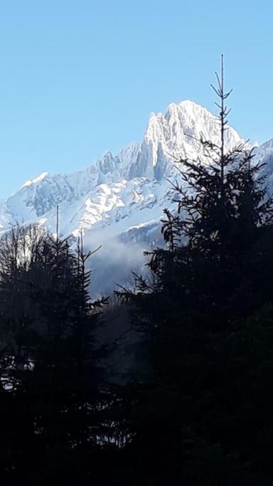 Chalet Les Charmilles - Vallee De Chamonix - 5 Chambres Les Houches Luaran gambar